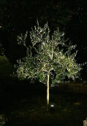 A90ea7cb4ec9b4e0f8df9375d28dc2a9c9.jpg