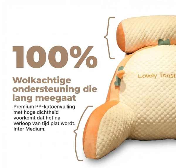 Comfortabele Leesrugsteun