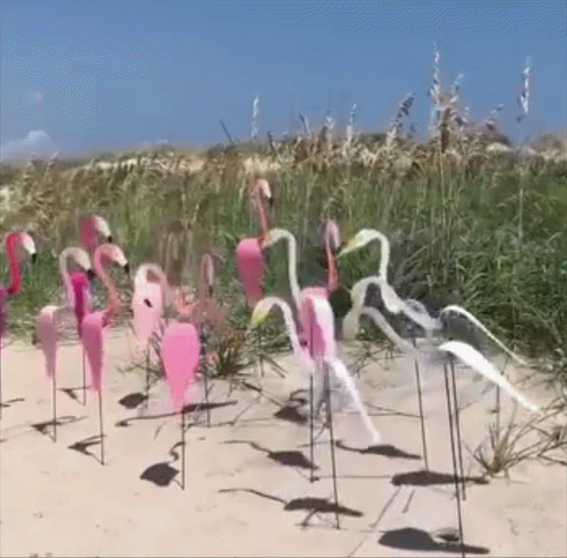 SwingFlamingo™ Geef je tuin een vrolijke tropische sfeer (Set van 2)