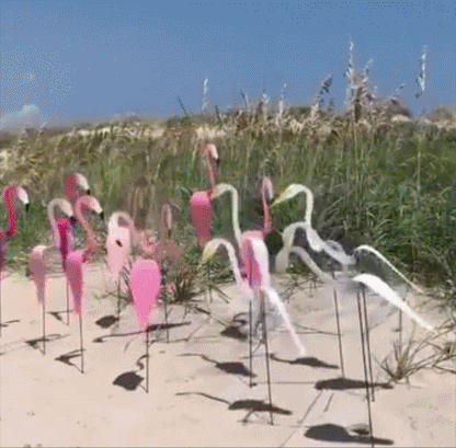 SwingFlamingo™ Geef je tuin een vrolijke tropische sfeer (Set van 2)