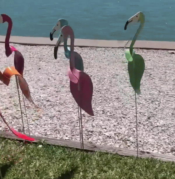 Dansende Flamingo Tuin Kunst
